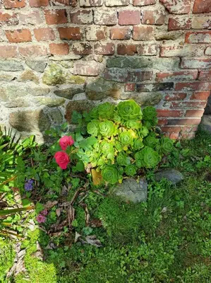 Jardin de l'établissement Clos St Vaast près plage et port