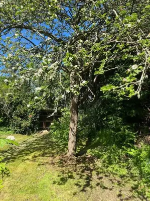 Paysage naturel près de la maison de vacances