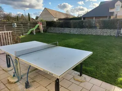 Tennis de table au sein de l'établissement Sous le pommier ou à proximité