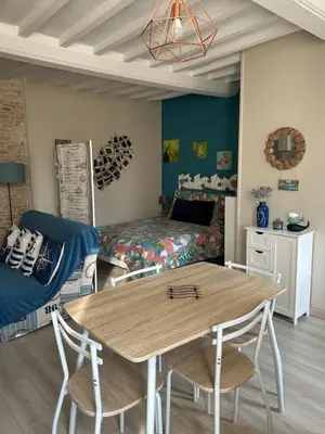 Cuisine ou kitchenette dans l'établissement Studio cosy de Luc