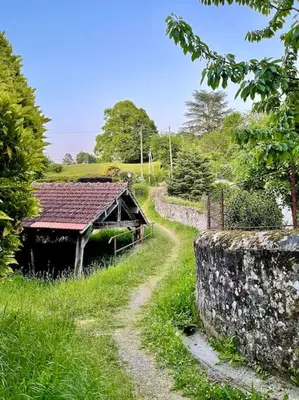 Jardin de l'établissement Les Maisons d'Auré: Le studio