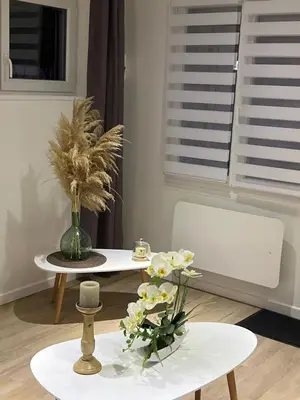 Télévision ou salle de divertissement dans l'établissement Ambiance cocooning pour visiter la Normandie