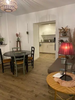 Cuisine ou kitchenette dans l'établissement Appartement COSY