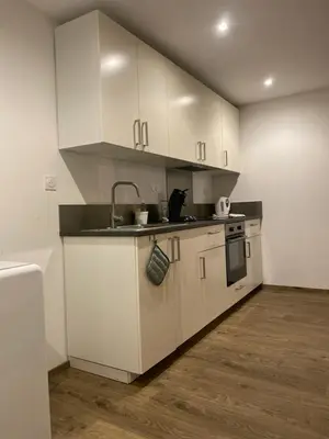 Cuisine ou kitchenette dans l'établissement Appartement COSY