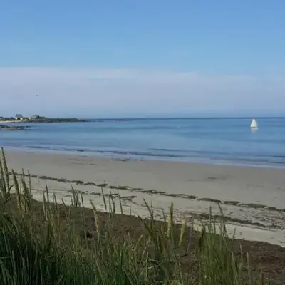 La palmeraie de brévy