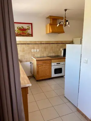 Cuisine ou kitchenette dans l'établissement Gîte Gold au Domaine de Saint Vigor