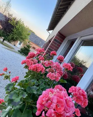 Jardin de l'établissement Gîte Gold au Domaine de Saint Vigor