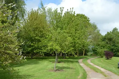 Jardin de l'établissement Le Hêtre Pourpre