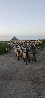 Paysage naturel près de la maison de vacances