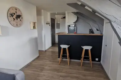 Cuisine ou kitchenette dans l'établissement apt cozy refait à neuf à 5min du centre ville