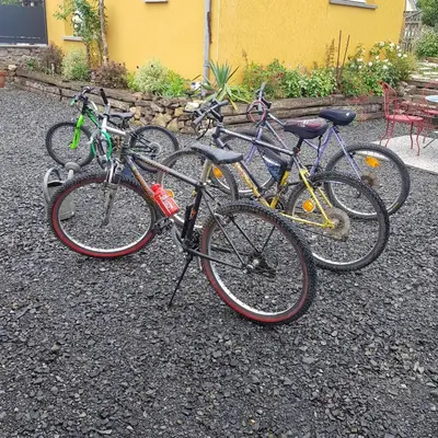 Vélo sur le terrain de l'établissement LE jardin ou dans les environs