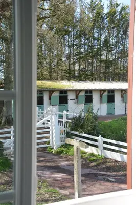 Jardin de l'établissement Domaine des cyprès