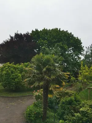 Jardin de l'établissement CAMILLE à VER SUR MER