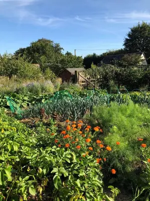 Jardin de l'établissement Le gîte des Jardins d'Hayden