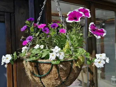 Jardin de l'établissement NormanD Holiday Home - VIRE CALVADOS Relaxing Rural Retreat