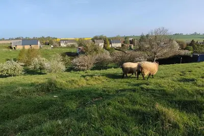 Animaux dans l'appartement ou à proximité