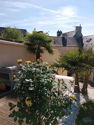Jardin de l'établissement Les palmiers