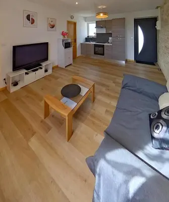 Télévision ou salle de divertissement dans l'établissement Logement cosy parking privé situé au cœur du village