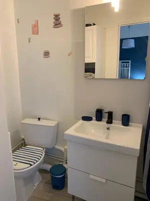 Salle de bains dans l'établissement La Grande Terrasse, appartement rez-de-jardin