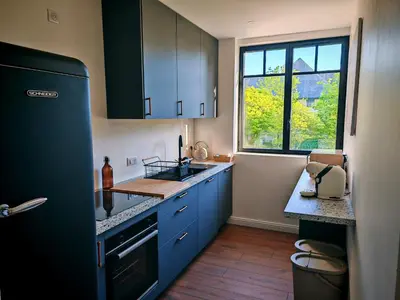 Cuisine ou kitchenette dans l'établissement Domaine de L'isle Maniere