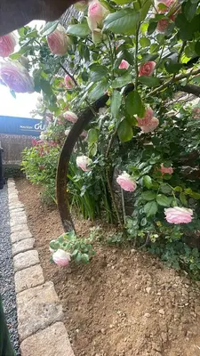 Jardin de l'établissement -Les Petites Planches- Gîte Familial entre Terre & Mer