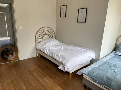 Un ou plusieurs lits dans un hébergement de l'établissement Maison centre historique