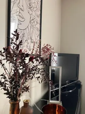 Télévision ou salle de divertissement dans l'établissement Appartement cosy tout équipé et parking couvert privé aux portes de Flers
