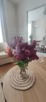 Plan de l'établissement Villa des roses, comme à la maison