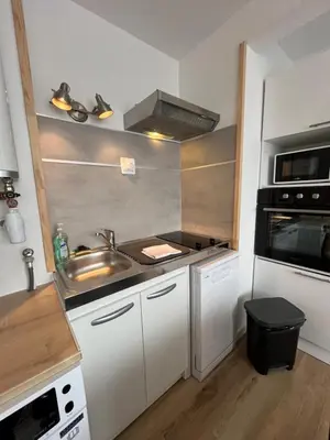 Cuisine ou kitchenette dans l'établissement Allium, Appt entièrement rénové avec parking