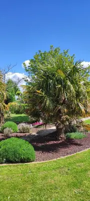 Jardin de l'établissement Le Ptit Normand entre Ville & Plages
