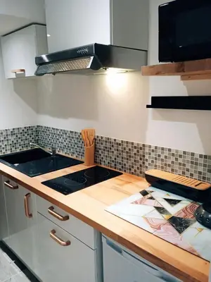 Cuisine ou kitchenette dans l'établissement La Salamandre