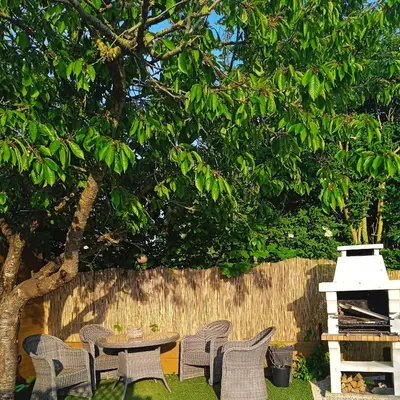 Jardin de l'établissement La Salamandre