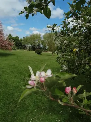 Jardin de l'établissement zénitude