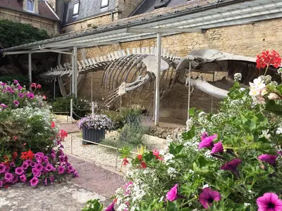 Jardin de l'établissement Le Caprice de la mer - maison avec véranda, jardin