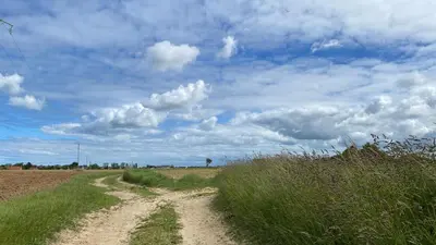 Paysage naturel près de le B&B/chambre d'hôtes