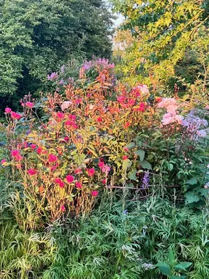 Jardin de l'établissement Château Normandy - Viking Heritage, Pet Friedly