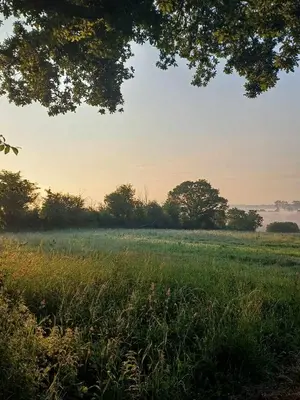 Paysage naturel près de le B&B/chambre d'hôtes