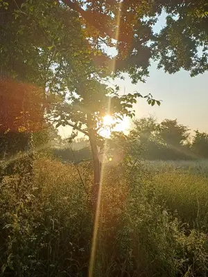 Paysage naturel près de le B&B/chambre d'hôtes
