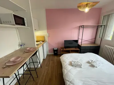 Un ou plusieurs lits dans un hébergement de l'établissement Roza, Studio proche centre ville