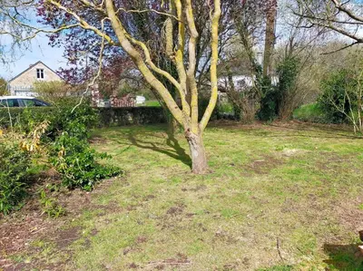 Jardin de l'établissement Maison au calme bord de mer