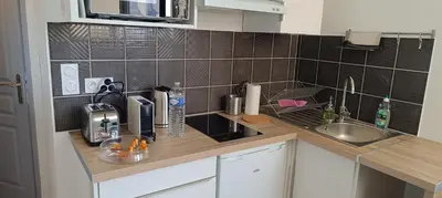 Cuisine ou kitchenette dans l'établissement Actarus-SILS - T1 28 M2