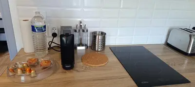 Cuisine ou kitchenette dans l'établissement Véga-SILS - Studio 26 M2