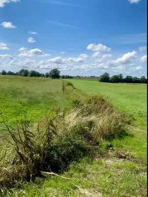 Paysage naturel près de le B&B/chambre d'hôtes