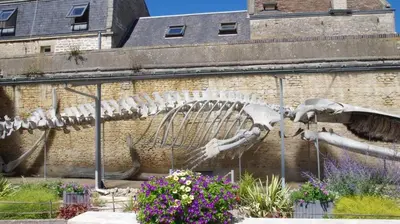 Plan de l'établissement Appartement à 100m de la plage