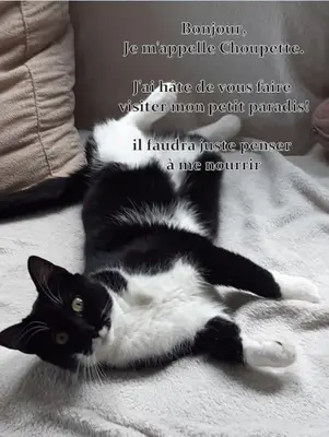 Animal ou animaux domestique(s) séjournant avec des clients dans l'établissement Villa la Salamandre - Jullouville