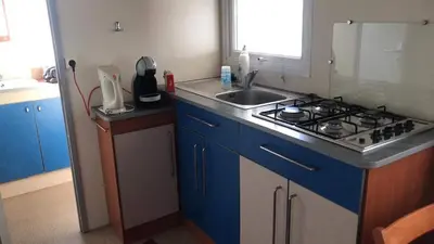 Cuisine ou kitchenette dans l'établissement Mobil Home