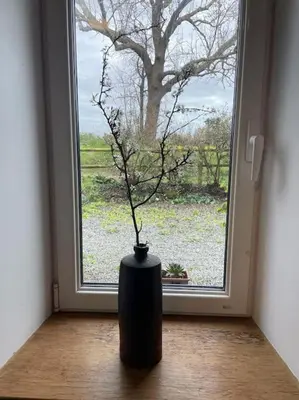 Jardin de l'établissement La Pampa