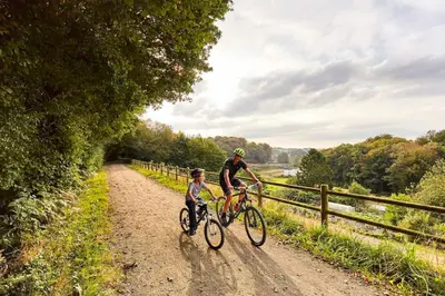 Vélo sur le terrain de l'établissement La cabane tropicale ou dans les environs