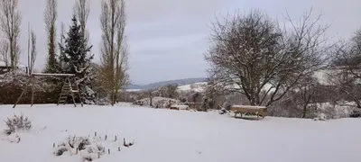 L'établissement Les gîtes de La Petite Taupe - Studio Jo en hiver
