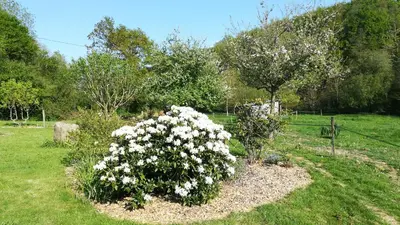 Jardin de l'établissement Chambre des bords de Siame
